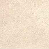 Иск. кожа Pegasso (Cream) Иск. кожа Pegasso (Cream)