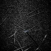 Флок Flash (black) Флок Flash (black)